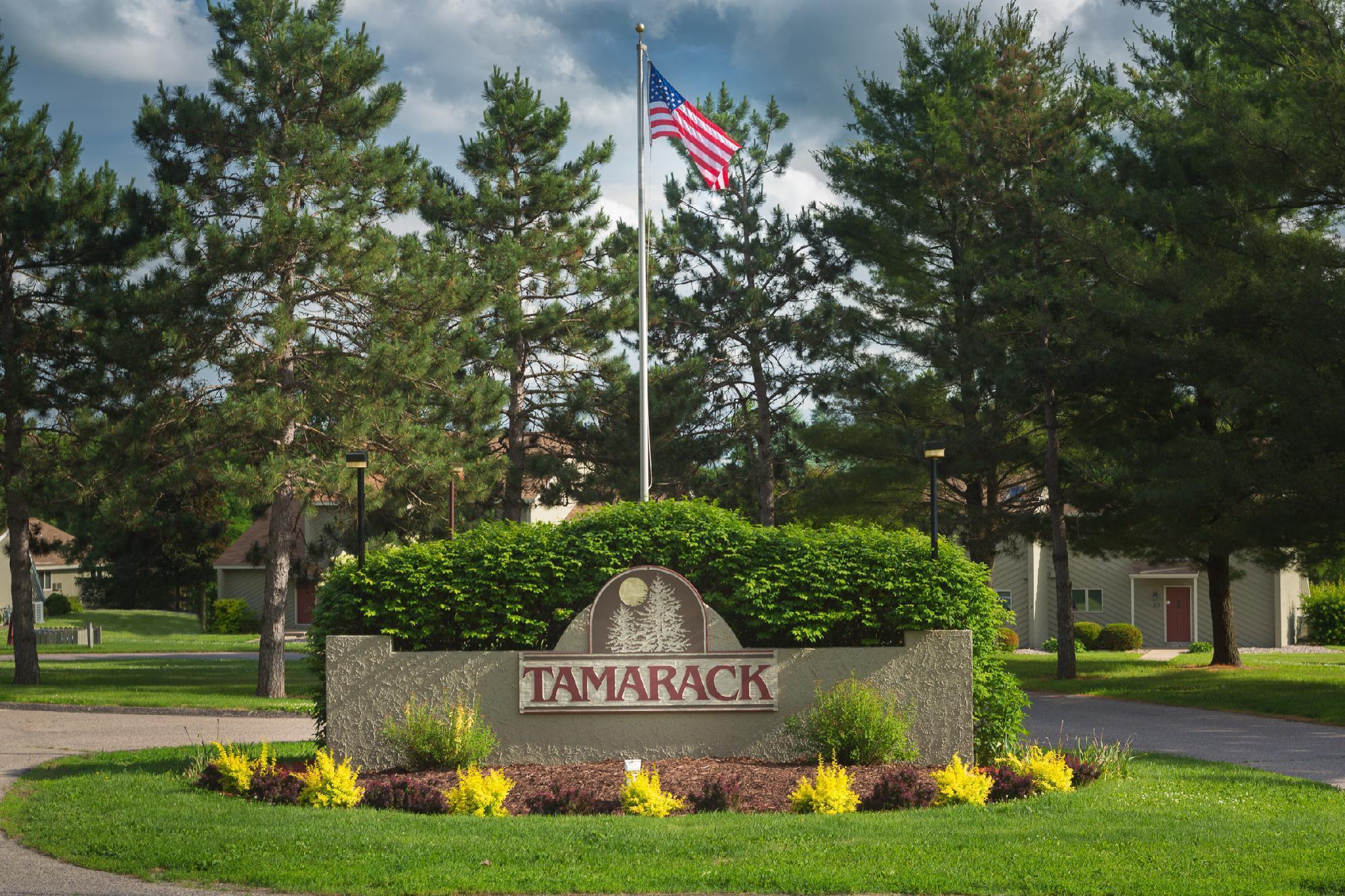 Hotel Tamarack Wisconsin Dells, A Ramada By Wyndham Exterior foto